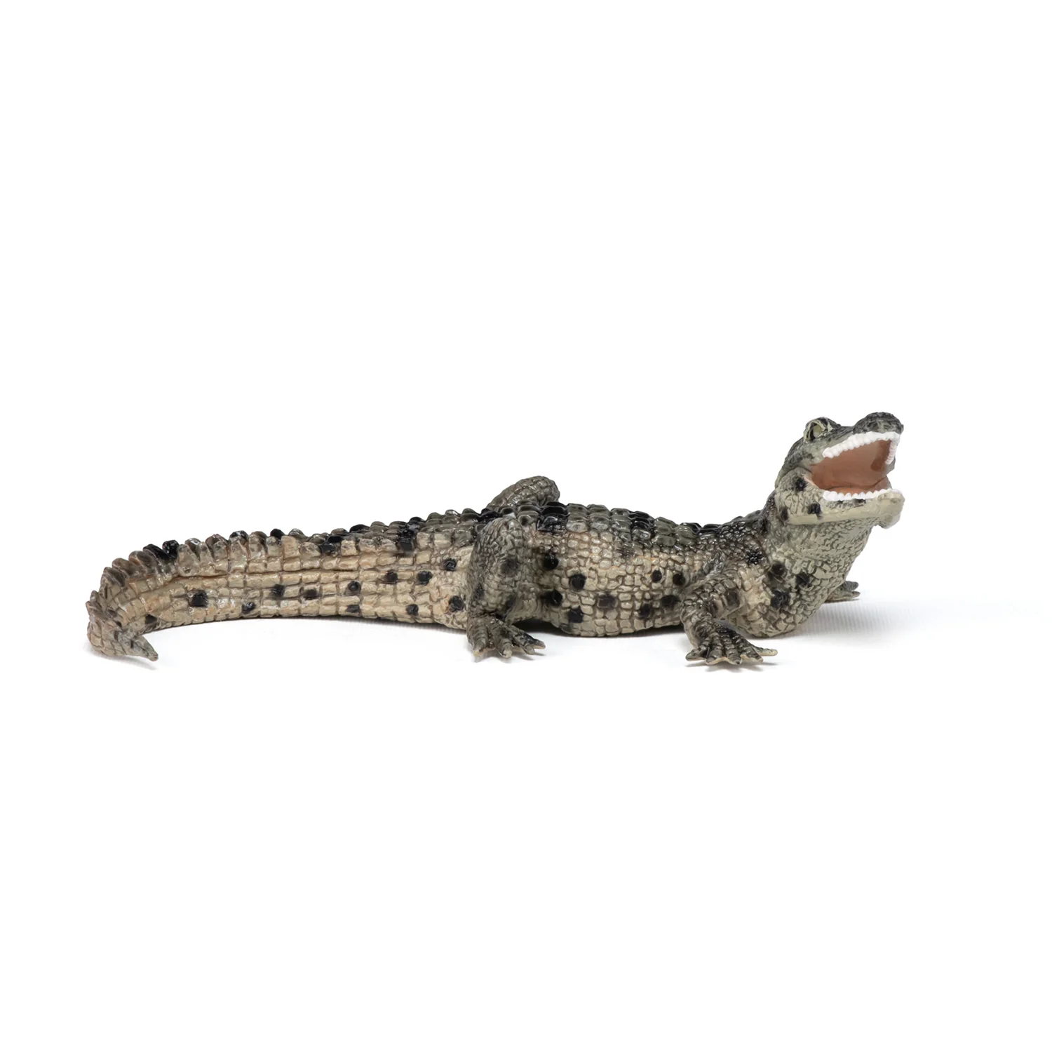 Miniature 1