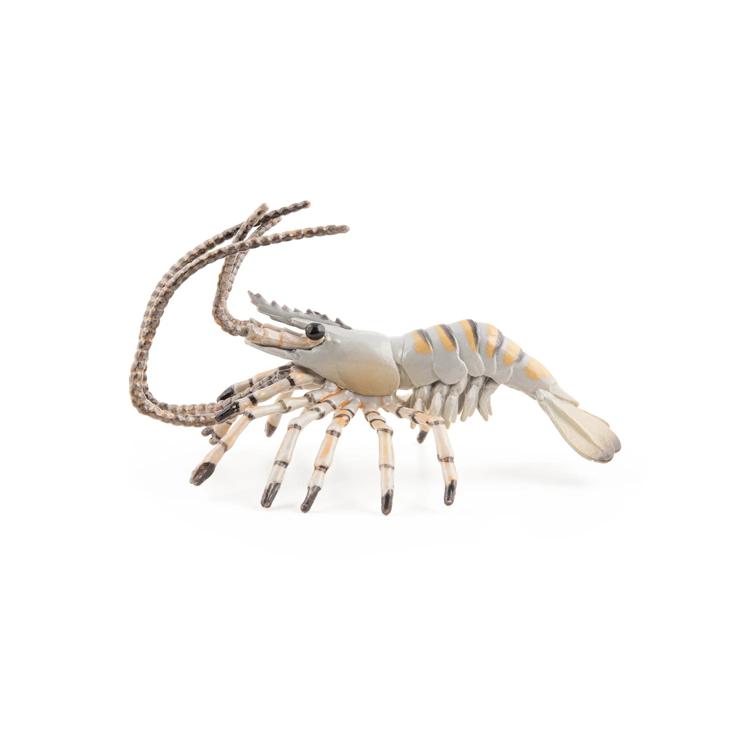 Miniature 1