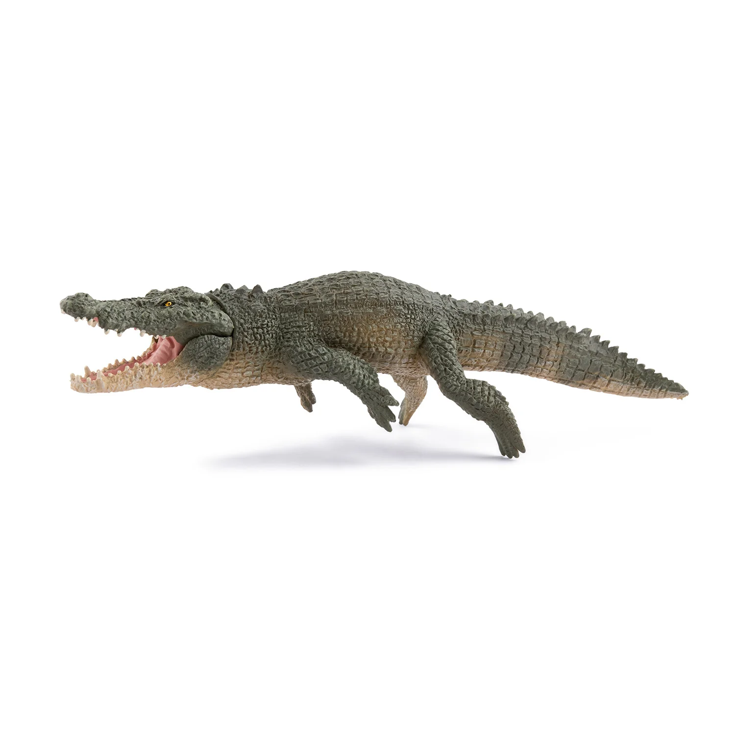 Miniature 1
