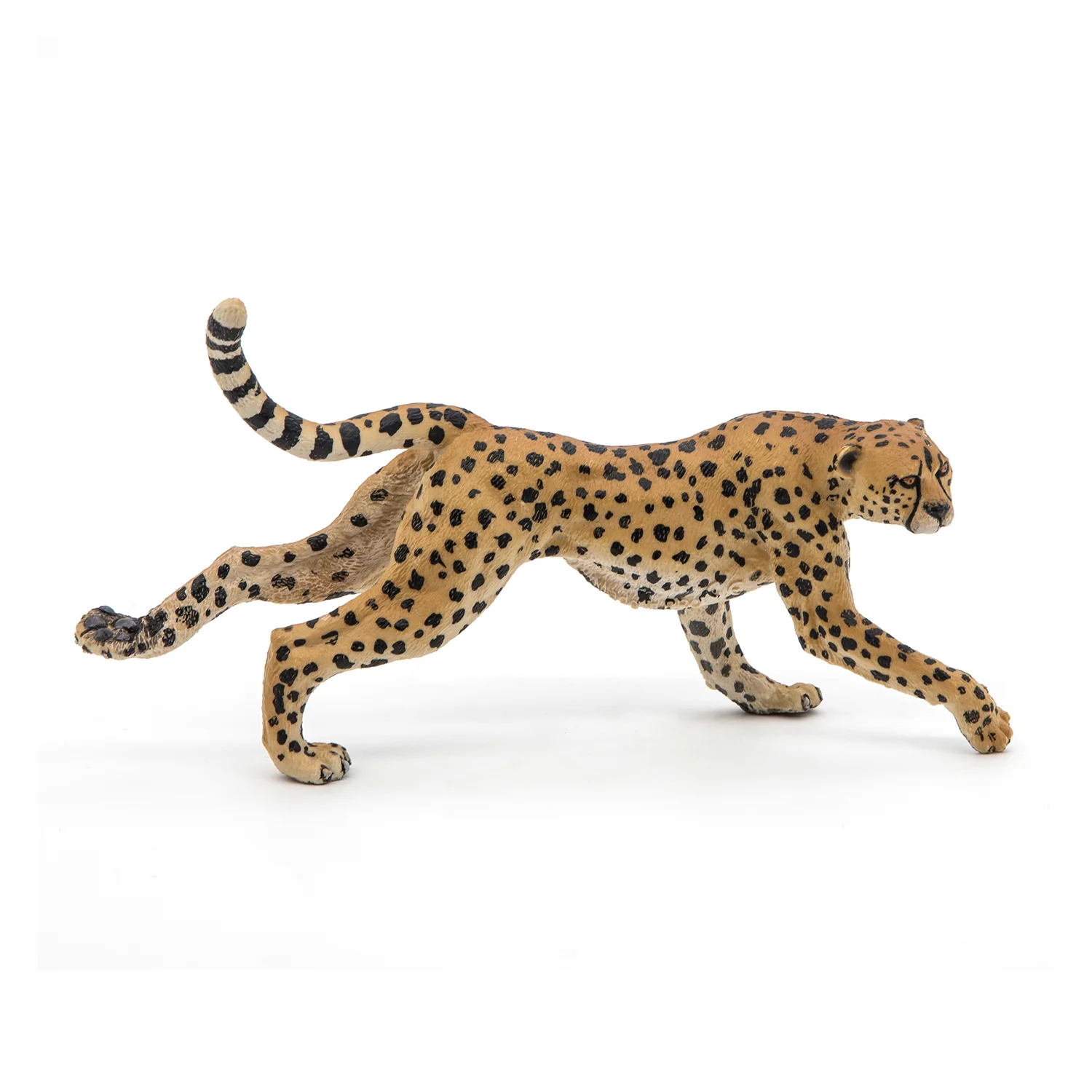 Miniature 1