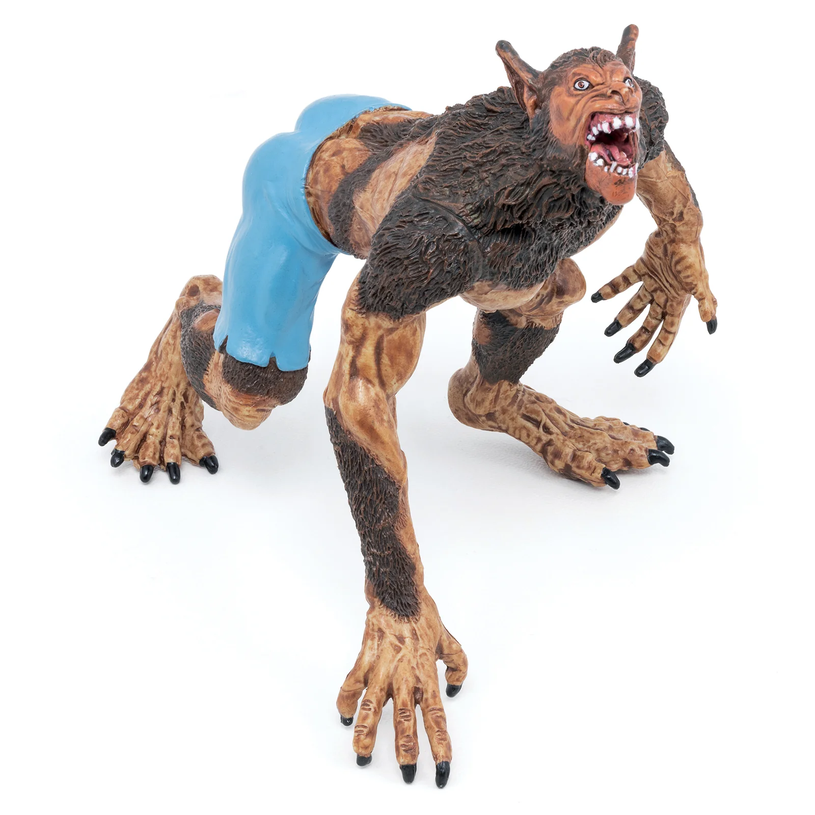 Miniature 1