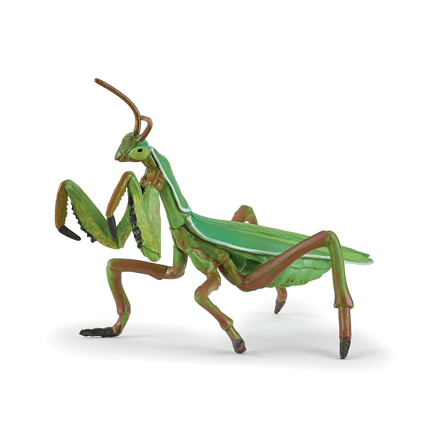 Miniature 1
