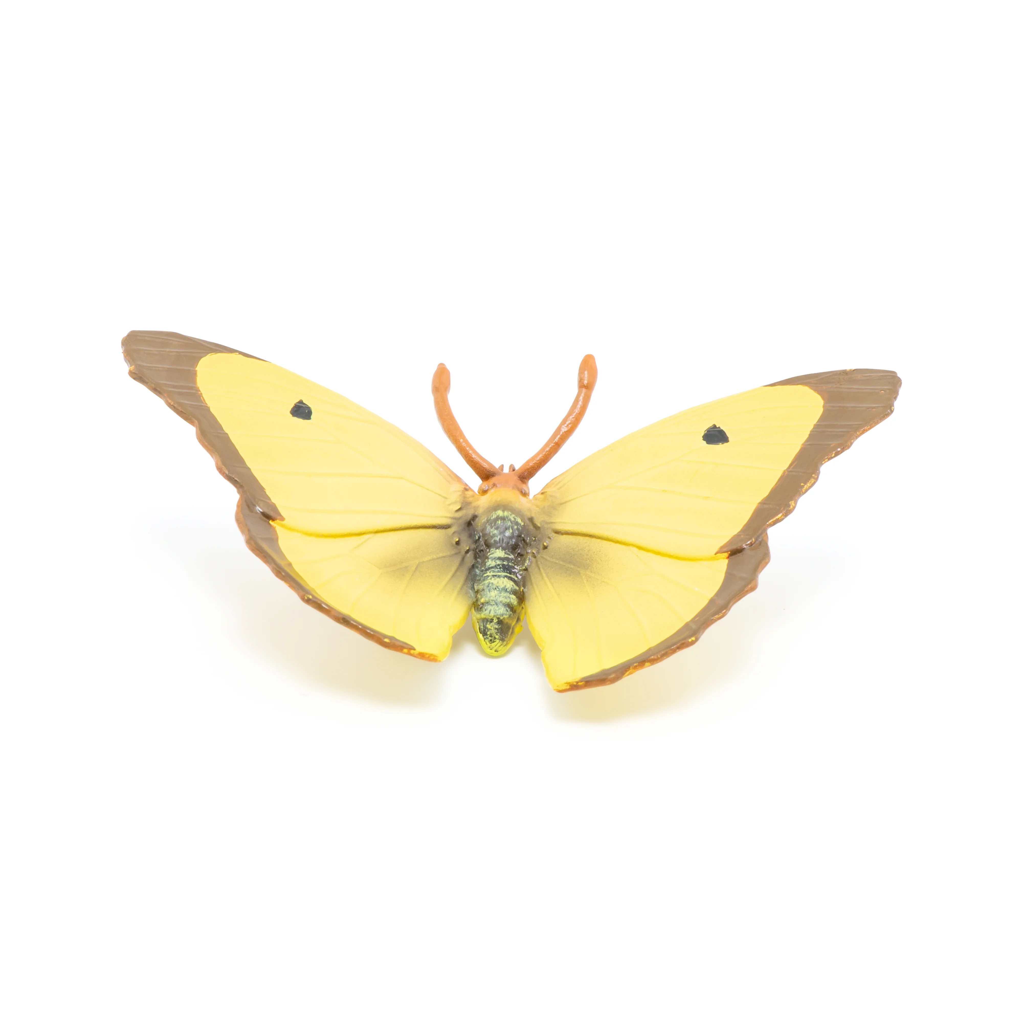 Miniature 1