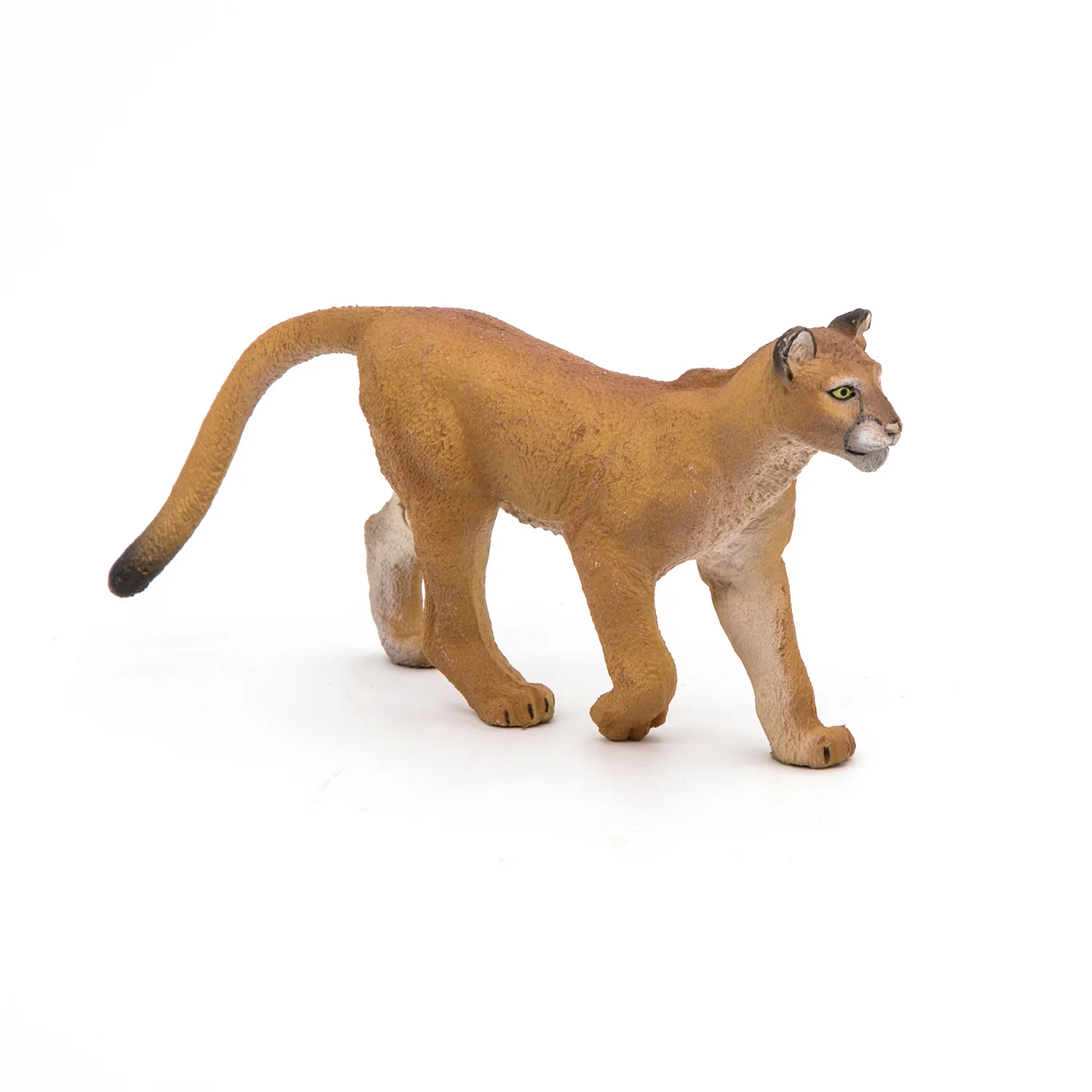 Miniature 1